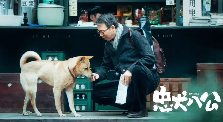 利比亚怎么打不开朝昔图解